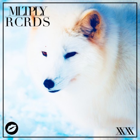 Arctic Fox (Extended Mix) | Boomplay Music