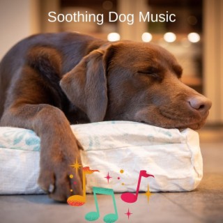 Relaxing Music For Dogs