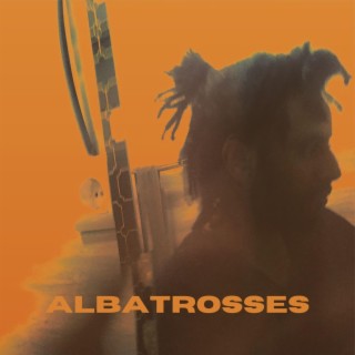 Albatrosses