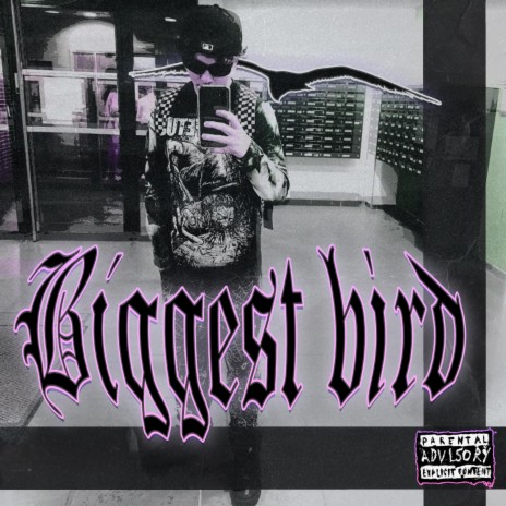 Biggest Bird