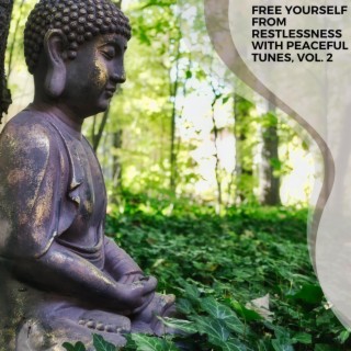 Free Yourself from Restlessness with Peaceful Tunes, Vol. 2