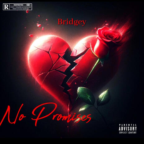 No Promises | Boomplay Music