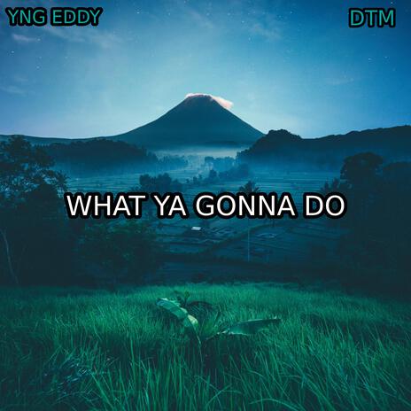 What Ya Gonna Do ft. DTM | Boomplay Music