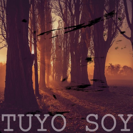 Tuyo Soy | Boomplay Music