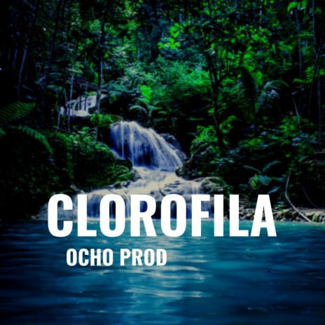 CLOROFILA | Boomplay Music