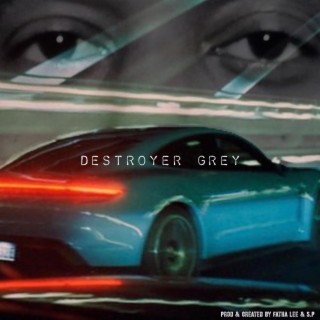 Destroyer Grey