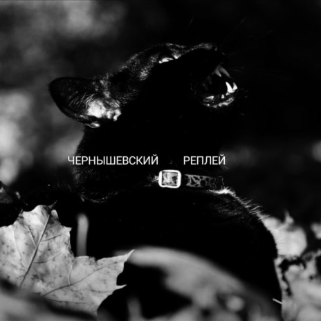 Реплей | Boomplay Music