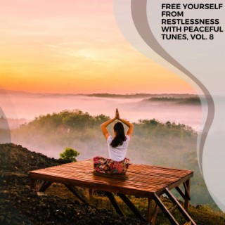 Free Yourself from Restlessness with Peaceful Tunes, Vol. 8