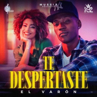 Te Despertaste lyrics | Boomplay Music