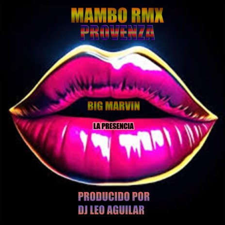 PROVENZA (MAMBO RMX) ft. DJ LEO AGUILAR | Boomplay Music
