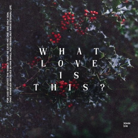 What Love Is This? | Boomplay Music