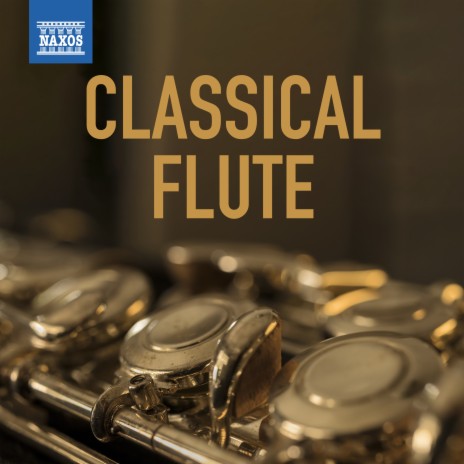 Flute Concerto No. 4 in G Major: II. Romance ft. Svenska Kammarorkestern | Boomplay Music