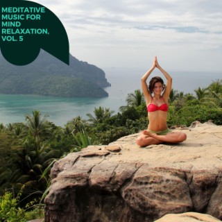 Meditative Music for Mind Relaxation, Vol. 5