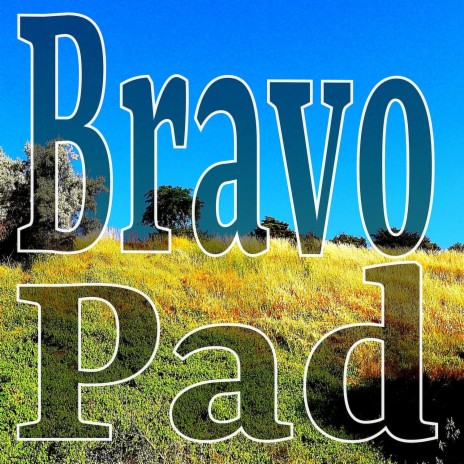 Paduraru - Bravo (Festival Mix) MP3 Download & Lyrics | Boomplay