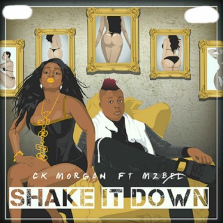 Shake It Down