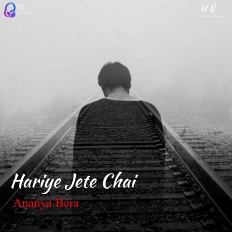 Hariye Jete Chai | Boomplay Music