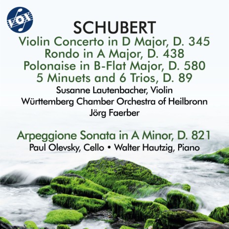 5 Minuets & 5 German Dances, D. 89 (Version for Orchestra) ft. Württemberg Chamber Orchestra of Heilbronn & Jörg Faerber | Boomplay Music