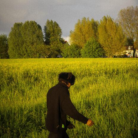 Les fleurs fanent toutes un jour (sped up) | Boomplay Music