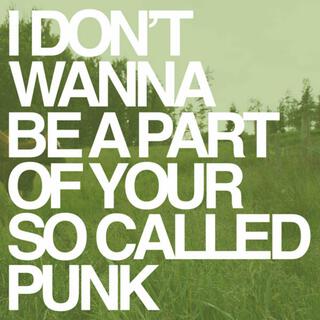 I Don't Wanna Be a Part of Your So Called Punk