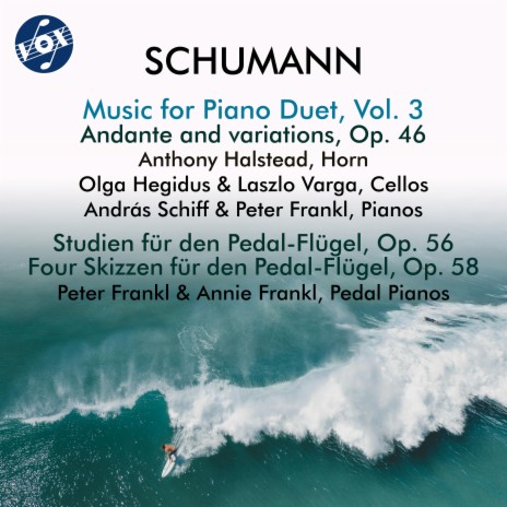 4 Skizzen für den Pedal-Flügel, Op. 58: No. 4 in D-Flat Major. Allegretto ft. Annie Frankl | Boomplay Music