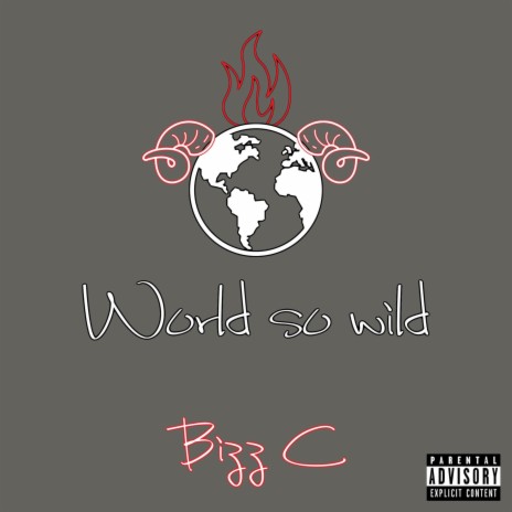 World so Wild | Boomplay Music