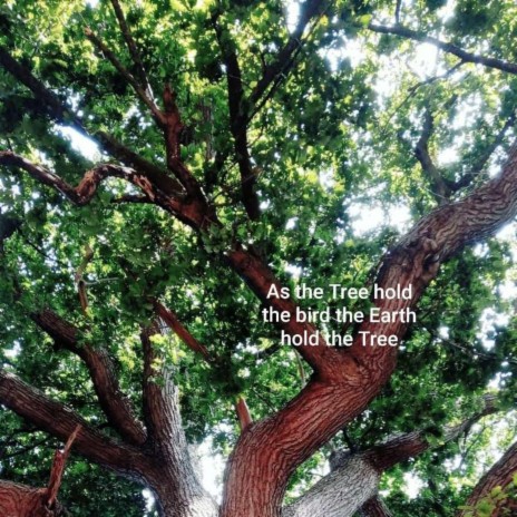 As the Tree hold the Bird the Earth hold the Tree | Boomplay Music