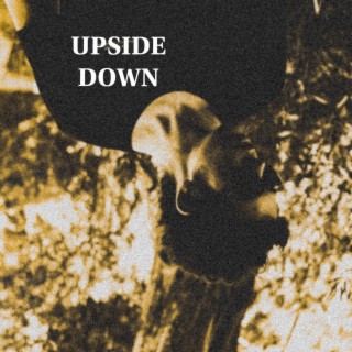 Upside Down lyrics | Boomplay Music