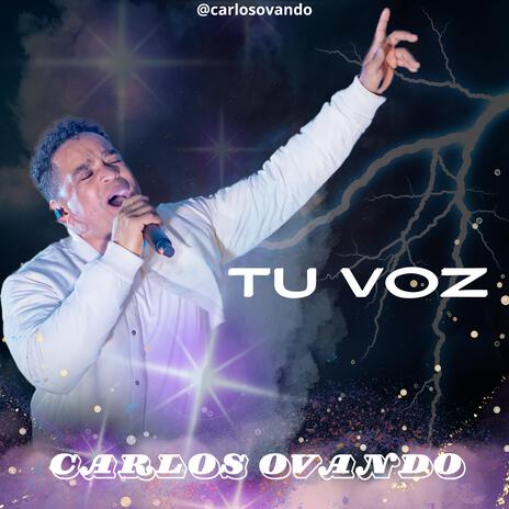 Tu Voz | Boomplay Music