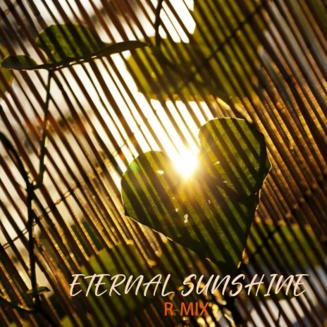 Eternal Sunshine | Boomplay Music
