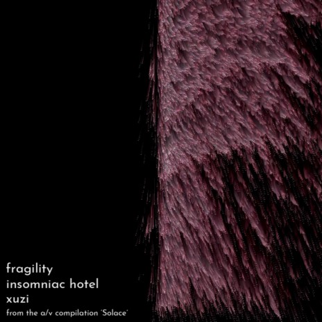 fragility ft. xuzi