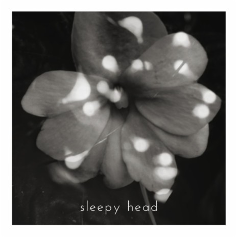 Sleepy Head | Boomplay Music
