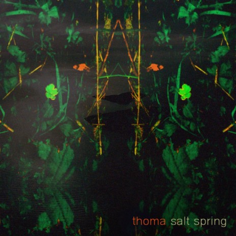 Salt Spring | Boomplay Music