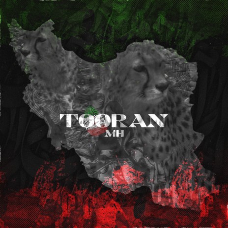 TOORAN | Boomplay Music