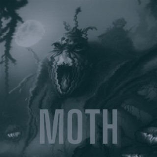 Moth lyrics | Boomplay Music