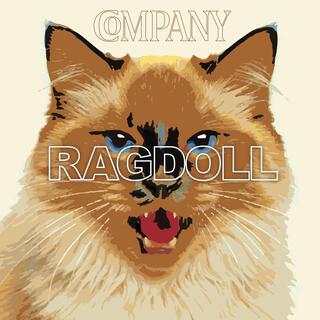 Ragdoll lyrics | Boomplay Music