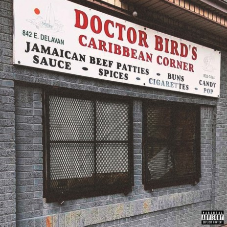 Dr Birds