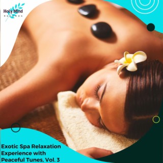 Exotic Spa Relaxation Experience with Peaceful Tunes, Vol. 3