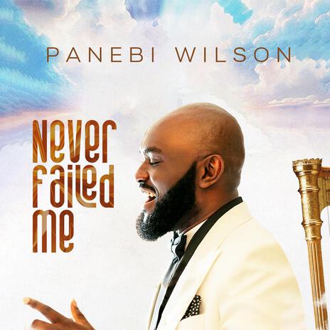 Never Failed Me | Boomplay Music