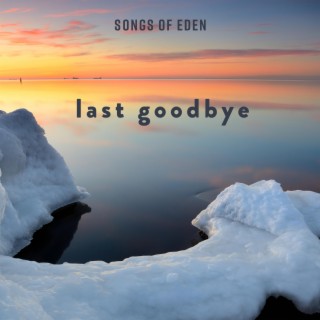Last Goodbye