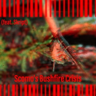 Scomo's Bushfire Crisis ft. Skript lyrics | Boomplay Music