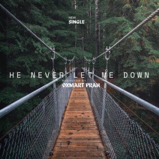 He Never Let Me Down lyrics | Boomplay Music