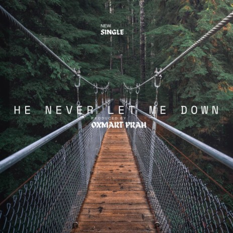 He Never Let Me Down | Boomplay Music