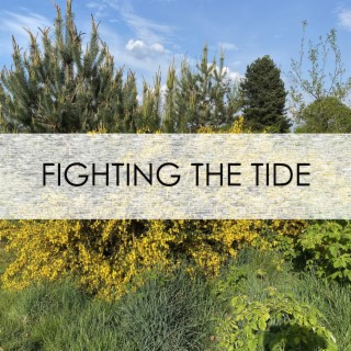 Fighting the Tide (single version)