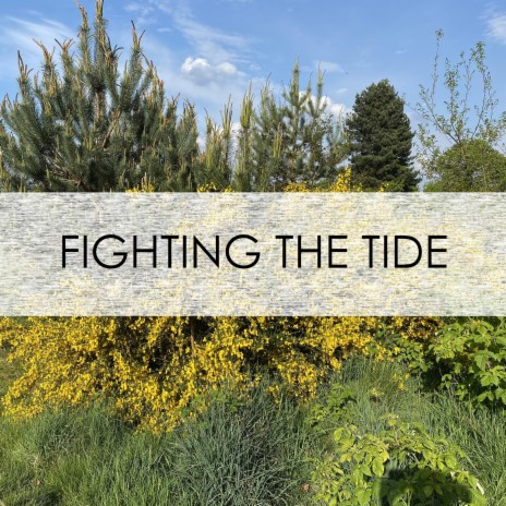 Fighting the Tide (single version) | Boomplay Music