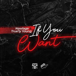 If You Want ft. True'ly Young lyrics | Boomplay Music