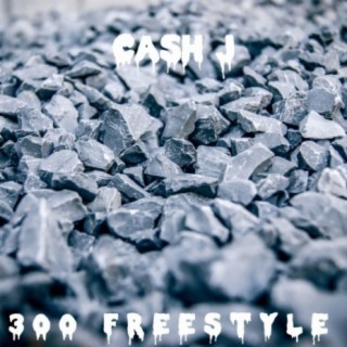 300 (Freestyle)