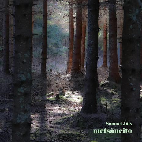 Metsäneito | Boomplay Music