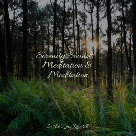 Fragrant Delight ft. PowerThoughts Meditation Club & Música a Relajarse | Boomplay Music