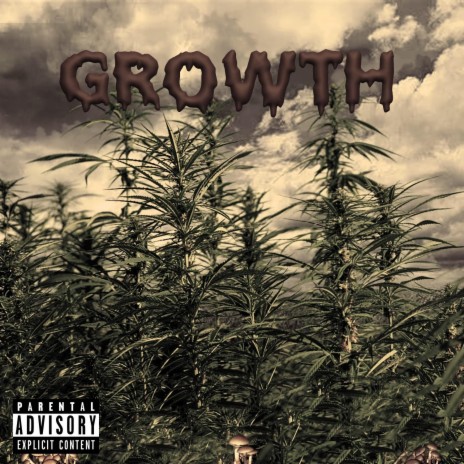 Growth | Boomplay Music