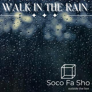 Walk in the Rain lyrics | Boomplay Music